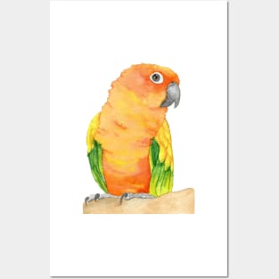 sun parakeet watercolor bird portrait painting Posters and Art